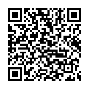 兰山谷柳树那边还在抵御将家层出不穷的手段呢二维码生成