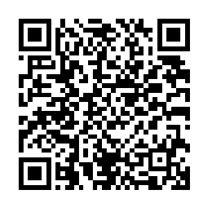 兰山谷眼神玩味地打量着说笑闲聊完全忽视他存在的夏天方炎二维码生成