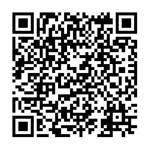 兰开斯特的最好称赞――他的编剧处女作能够达到如此水准已经非常不容易二维码生成