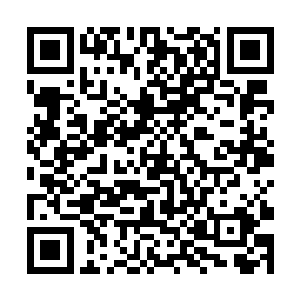 兰德尔瞪大了眼睛他脸上的表情说不上是有什么悲伤二维码生成