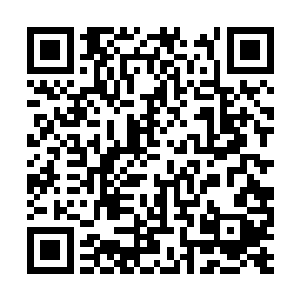 兰瑟怎么也沒有想到自己竟然会去接受法律的制裁二维码生成