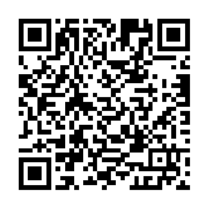 兰百灵印堂内的那个黑蜘蛛开始冒出一丝丝黑色气体二维码生成