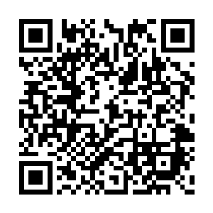 兰百灵怨毒的目光独步隔着很远就能够感觉得到二维码生成
