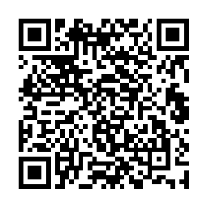 兰百灵还是为神经大条的马晶莹的对手调查了个清楚二维码生成