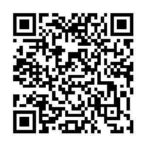 兰花界的一个传奇人物草野富江就这样落下了人生的大幕二维码生成