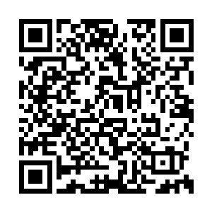 兰鑫仙人毫不怀疑陌星子之后会把自己的手剁了二维码生成