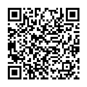 关上殿门的整个大殿内就只剩下萧黎与小岩两个人二维码生成