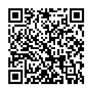 关书记和明泉也按照陆书记的意见搞了一个政务公开的意见稿二维码生成