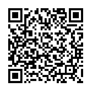 关于今年年初在老凤府湖边的那一幕又匆匆袭了上来二维码生成