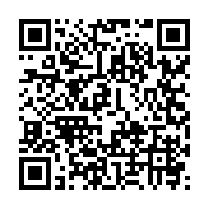 关于在湖州建设中国中部最大物流中转基地的可行二维码生成