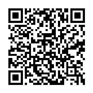关于昆墟秘境所发生的事情他们根本就不要知情二维码生成