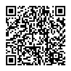 关于是否真的有黄金级罪民和黄金级罪民是否真的具备智慧的争论二维码生成