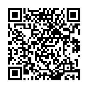 关于最近邵氏集团使用劣质水泥的案件又有了最新的消息二维码生成