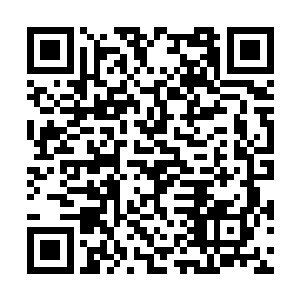 关于这个任务我们所掌握的资料都在这个袋子里了二维码生成