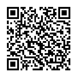 关于这本书报纸刊登权的价格已经白纸黑字写进合同了二维码生成