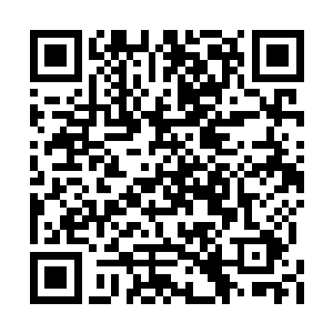 关宝方如同一只被激怒的雄狮一般一下跳了起来二维码生成