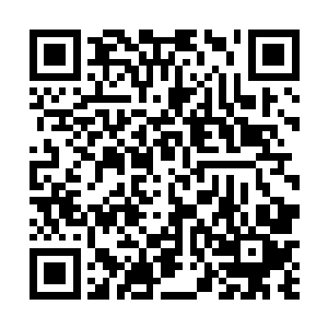 关恒以及陆为民一起在县公安局干警和服务员的帮助下二维码生成