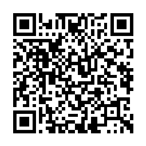 关注着霸天虎的秦方才能够发现这样细微的改变二维码生成