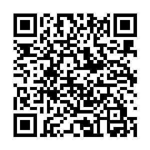 关超海和对面的监酒仙官李寻不约而同的笑了起来二维码生成