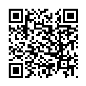 关键不知道苗毅会逮住嬴阳死磕到底二维码生成