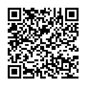 关键是她们几个还协助搞出个很能分散我注意力的健身中心二维码生成