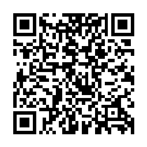 关键是有股子南方女子少有的那股子精明干练中透露出的狠劲儿二维码生成