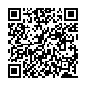 关键是现在召集其他巡逻队的兄弟们是不可能的二维码生成