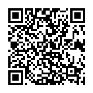 关键是血雷葫芦还有一丁点的先天五行雷石没有炼化二维码生成