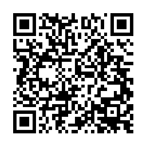 关键是褚子山从近卫军带来的那些部将也不是吃素的二维码生成