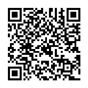 关键点在于傅品千看到了苗苗身上的另外一点不好地方二维码生成