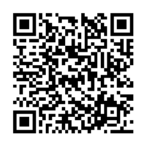 关闭了武器系统的机械巨兽也老老实实地待在原地二维码生成