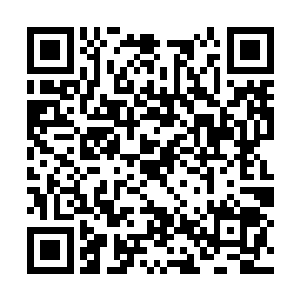 兴奋了起来的……这就注定了两个人要决出胜负了二维码生成