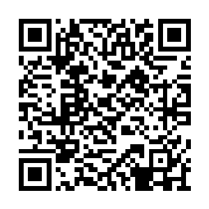 兵刃击打在黄金蛮牛的后背中间那一条脊椎线上二维码生成