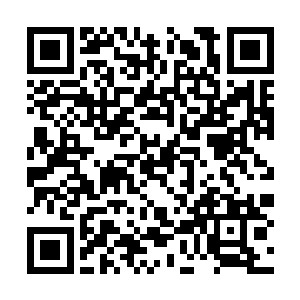 兵团每个人身上的光团是真力激荡至极亮起的光芒二维码生成