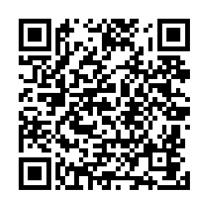 兵马俑们痛苦无比地开始狂背多达一百二十页的战术手册二维码生成