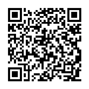 其上面天生的法阵也开始出现了星星点点的闪耀二维码生成