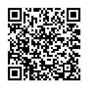 其中一个头脑转得比较快的棒子科研精英连忙道二维码生成