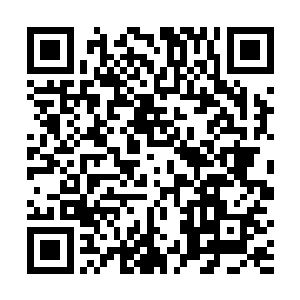 其中一个就是神秘老者可以直接将弟子提拔成亲传弟子二维码生成