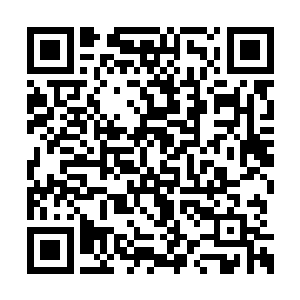 其中一个眉毛耷拉下去的中年汉子举起一根树枝二维码生成