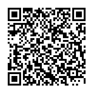 其中一个磨盘大小的贝类内一颗比拳头还要大上好几圈的珠子在深海内熠熠生辉二维码生成