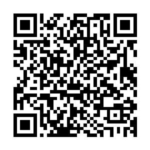 其中一个红发武道之人对身前的几个元尊凝煞武道之人冷冷道二维码生成