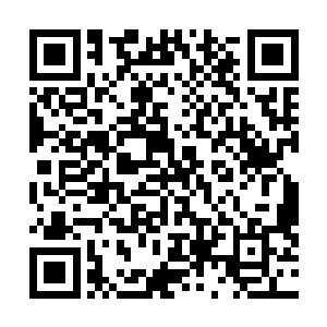 其中一个身穿格子长衫的男子冲着不远处的大堂经理喊道二维码生成