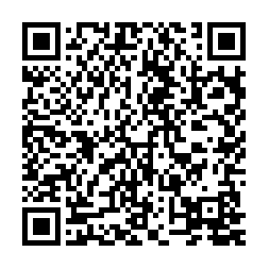 其中一些尸体的特征明显一点都不像是地球上任何已知生物的尸体二维码生成