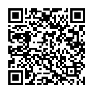 其中一些抵抗势力的综合实力甚至是星光组织的百倍二维码生成