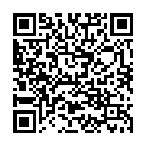 其中一句话就是让黑海妖族千万不要靠近死神密海二维码生成