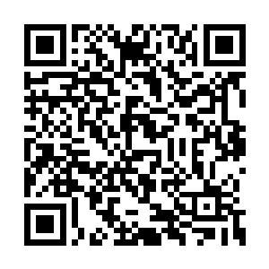 其中一小部分击打在小骷髅洁白的骨头架子之上二维码生成