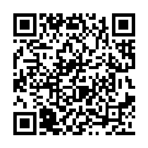 其中一架重型机甲闪避时不小心踩到队友的残骸二维码生成