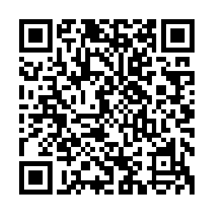 其中一艘失事飞船上甚至全部是帝国综合学院外出实习的学生二维码生成