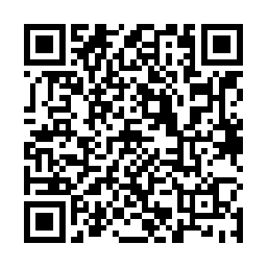其中一部分在葛钦从面前走过的时候纷纷对葛钦唤了声二维码生成