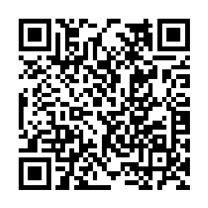 其中一颗骷髅头里面还正在炼化着崔府府主崔朔呢二维码生成